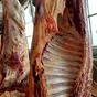 мясо говядины корова 1 и 2 категория в Воронеже и Воронежской области 7