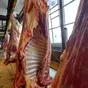 мясо говядины корова 1 и 2 категория в Воронеже и Воронежской области 8