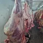 мясо говядины в полутушах и четвертинах в Воронеже и Воронежской области 4