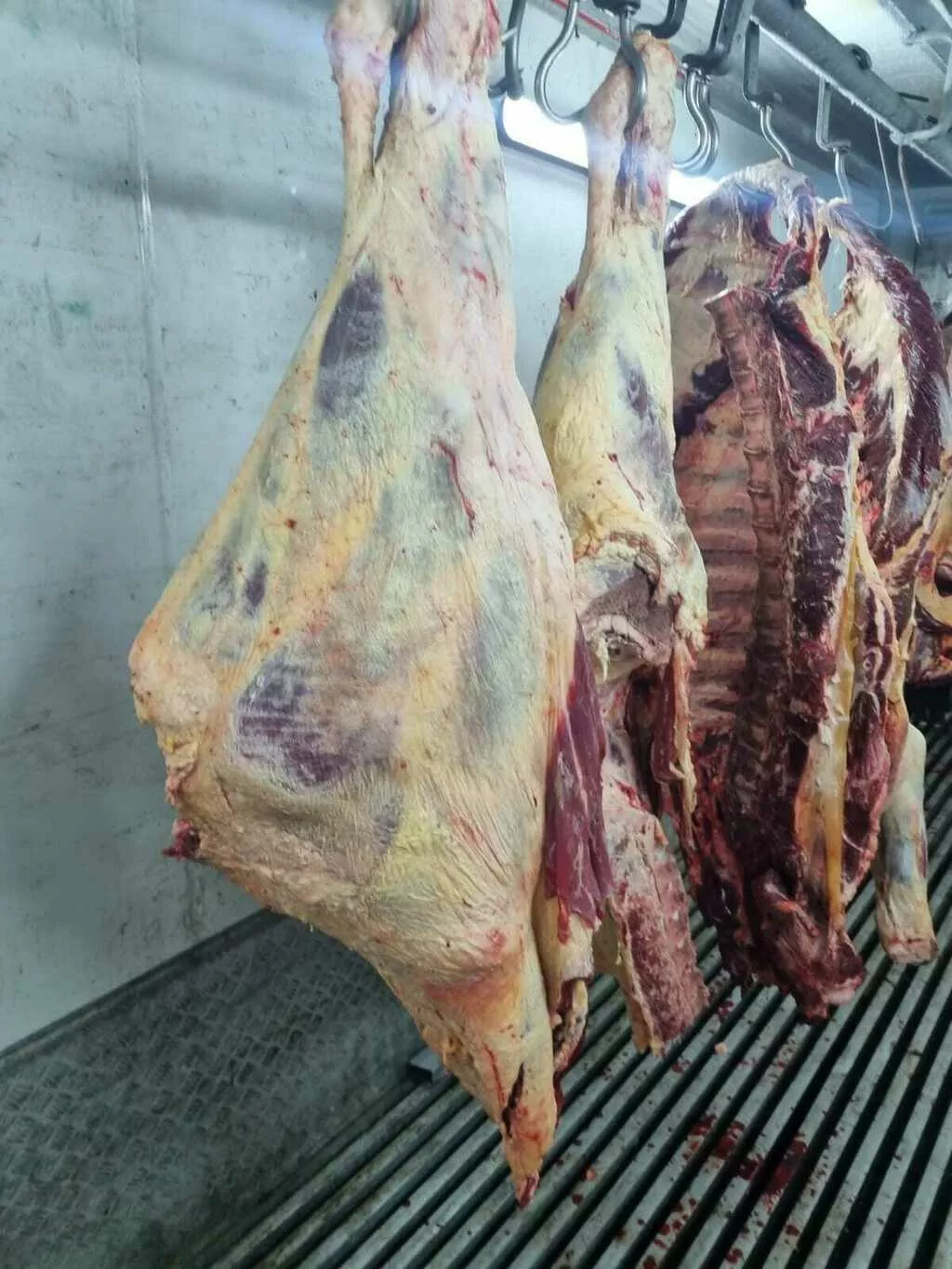 мясо говядины в полутушах и четвертинах в Воронеже и Воронежской области