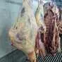 мясо говядины в полутушах и четвертинах в Воронеже и Воронежской области