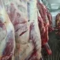 мясо говядины в полутушах и четвертинах в Воронеже и Воронежской области 5