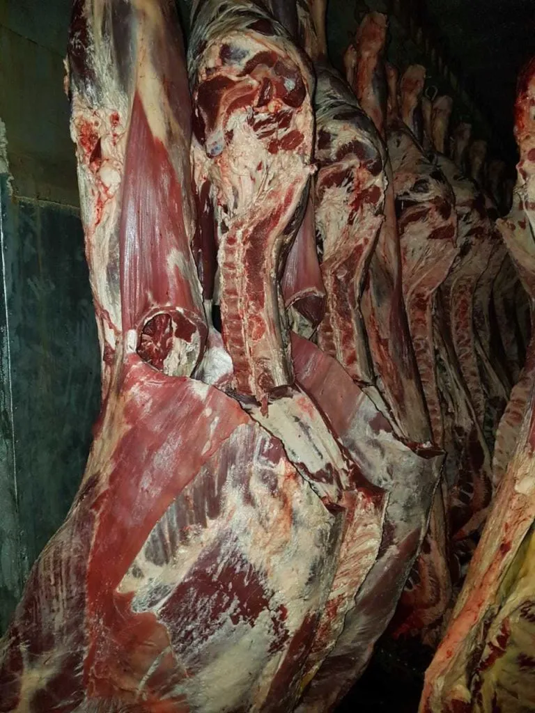 Фотография продукта Мясо от производителя