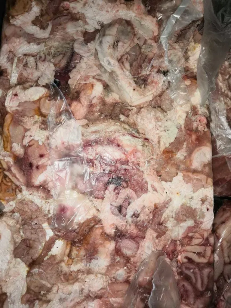 кишсырье свиное на корм животным  в Воронеже