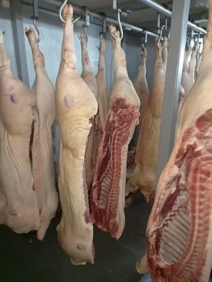 свинина, говядина, куры охлажденные в Воронеже 3