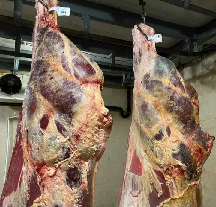 фотография продукта Мясо говядины корова 1 и 2 категория