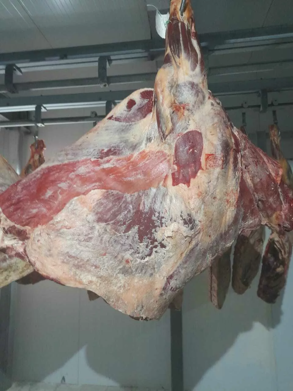 мясо говядины в четвертях в Воронеже и Воронежской области 4