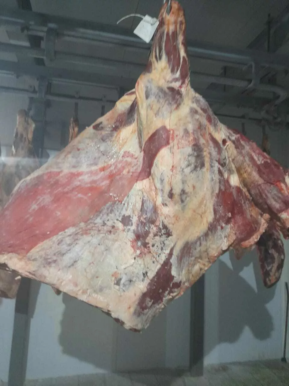 фотография продукта Мясо говядины в четвертях