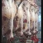 мясо говядины в полутушах и четвертинах в Воронеже и Воронежской области 3