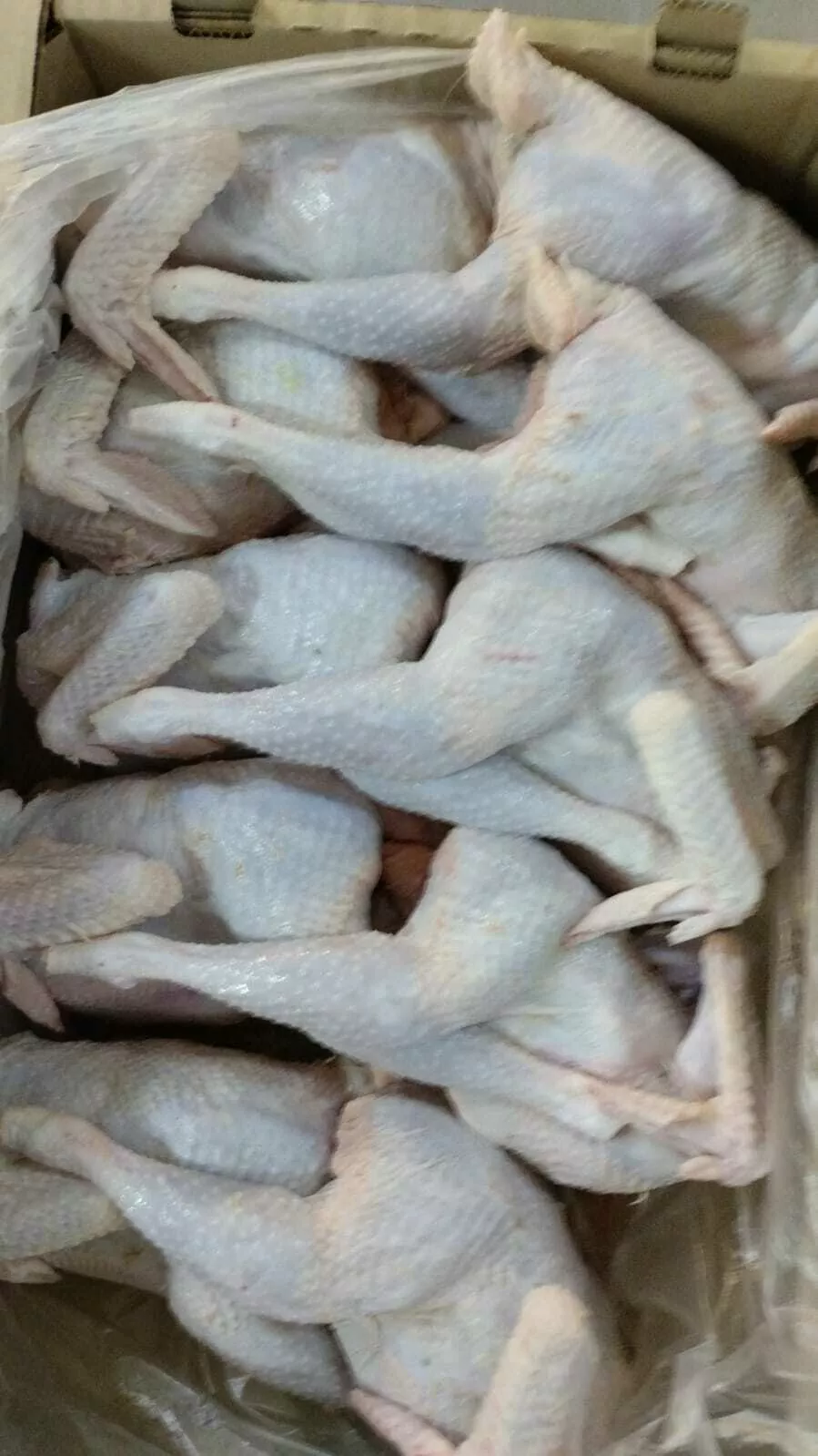 Фотография продукта Тушка курицы 2 сорт