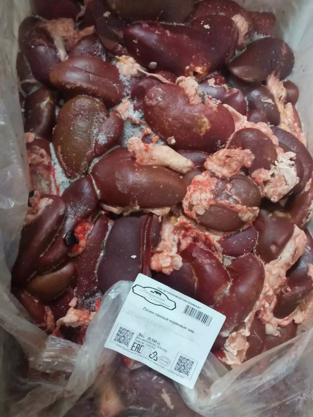 фотография продукта Почки свиные зам. воронежская область